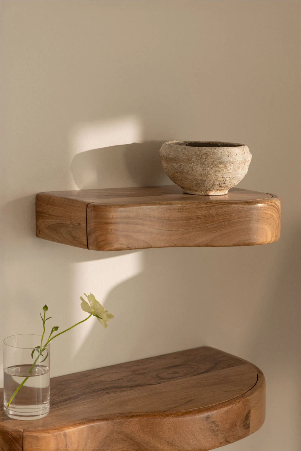 Nireimi sieninė lentyna